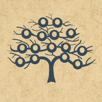 Branches of Italy Genealogy logo - Similar company to Emd112