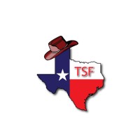 Texas Safety Foundation, Inc. logo - Similar company to Building Infrastructure Solutions