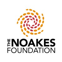 The Noakes Foundation logo - Similar company to Nutrition Network