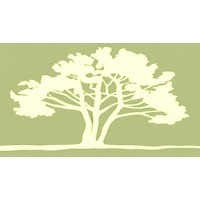 Baird Integrated Therapy