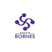 GRUPO BORNES logo - Similar company to Guai Insurtech
