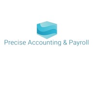 Precise Accounting & Payroll logo - Similar company to Maverick Mindset