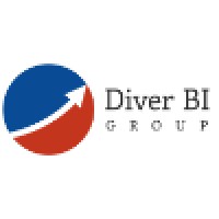Diver BI Group logo - Similar company to Dynamic Business Informatics