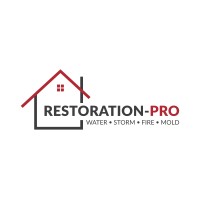 Restoration-pro logo - Similar company to Doctors Of Technology