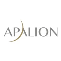 Ihr Erfolg durch SEO APALION AG logo - Similar company to Strategy Target