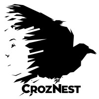 CrozNest Limited logo - Similar company to Foresight Data Consultancy Limited