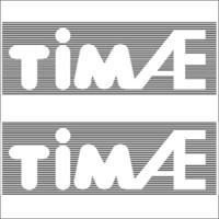 TIM AE ENGINEERING logo - Similar company to Ultimate Advanced General Trading