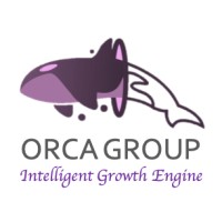 Orca Group logo - Similar company to Orca Technologies