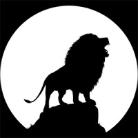Kingdom Sight Studios logo - Similar company to Called Higher Studios, Inc