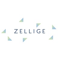 ZELLIGE logo - Similar company to Villa Lagoon Tile