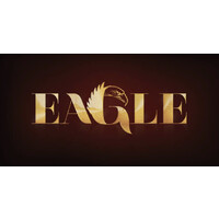 Eagle Coaching Desenvolvimento de Pessoas logo - Similar company to Abale Desenvolvimento Web