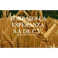 FORRAJES LA ESPERANZA S.A DE C.V. logo - Similar company to Caleya Forrajes