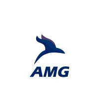 AMG Music Group logo - Similar company to Amg Group Music Events, Llc