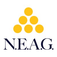 New England Appliance Group logo - Similar company to Dynamic Marketing Inc. (Dmi Appliance Group)