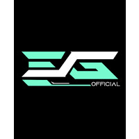 ESG OFFICIALS logo