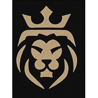 Augustin Holdings Inc logo - Similar company to Digital Analyst Team