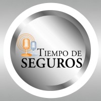 Tiempo de Seguros -TDS logo - Similar company to Todo Riesgo