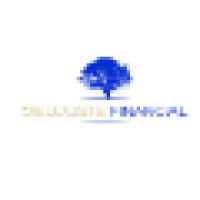 Dieujuste Financial logo - Similar company to Career Break