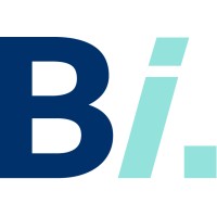 BI Partner logo - Similar company to Selinko