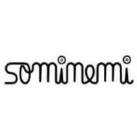 SOMINEMI SL logo - Similar company to E.R.A.X.