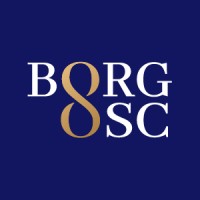 BORG-OSC logo - Similar company to Linkedin Voor Studenten