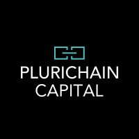 Plurichain Capital logo - Similar company to Scaled Risk