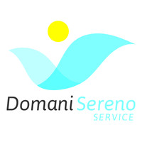 DOMANI SERENO SERVICE SRL logo - Similar company to Intelergy Srl