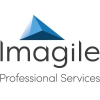 Imagile Professional Services logo - Similar company to Capitec