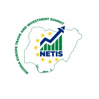 NETIS logo - Similar company to Daniel Iloh Limited