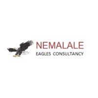 Nemalale Eagles Consultancy logo - Similar company to Mandlethu Projects Pty Ltd