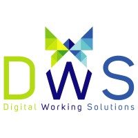 Digital Working Solutions - DWS logo - Similar company to Beamerexpert