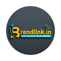 Brandlink logo - Similar company to Brandlink Group
