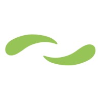 Synergic Solution logo - Similar company to Cibix Srl