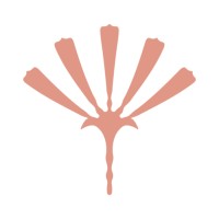 Noci Clinic logo - Similar company to Cupom Tiff