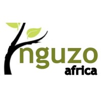 Nguzo Africa logo - Similar company to Empowerment For Local People Foundation