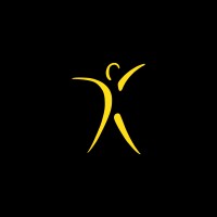 Body Kinetics Health Club logo - Similar company to Sonoma Fit