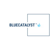 BlueCatalyst, LLC logo - Similar company to Blue Catalyst Ip