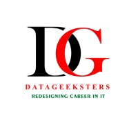 Datageeksters logo - Similar company to Pakton Technologies
