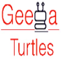 GeeGa Turtles logo - Similar company to Charisma