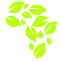 Clean Africa Eco logo - Similar company to Eco Africa