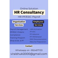 ONLINE SOLUTION HR CONSUTANCY logo - Similar company to Pima Electronic Systems Ltd.