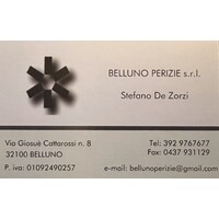 BELLUNO PERIZIE S.R.L. logo - Similar company to Csv Belluno Treviso