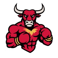 BullBookie logo - Similar company to Hawk.Io