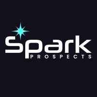 Spark Prospects logo - Similar company to Dsn Consulting Llc