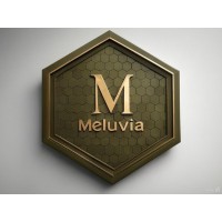 The Meluvia Network logo - Similar company to Connect Marketplace