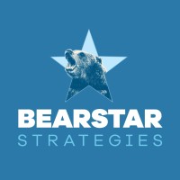 Bearstar Strategies logo - Similar company to Sgr Consulting