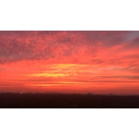 Stealth logo - Similar company to Morre-Tec Industries, Inc