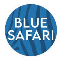 Blue Safari logo - Similar company to Blue Safari