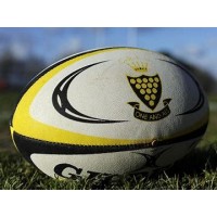 CORNWALL RUGBY FOOTBALL UNION LIMITED logo - Similar company to Cornwall Fa