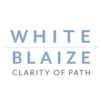 WhiteBlaize logo - Similar company to Vital Learning